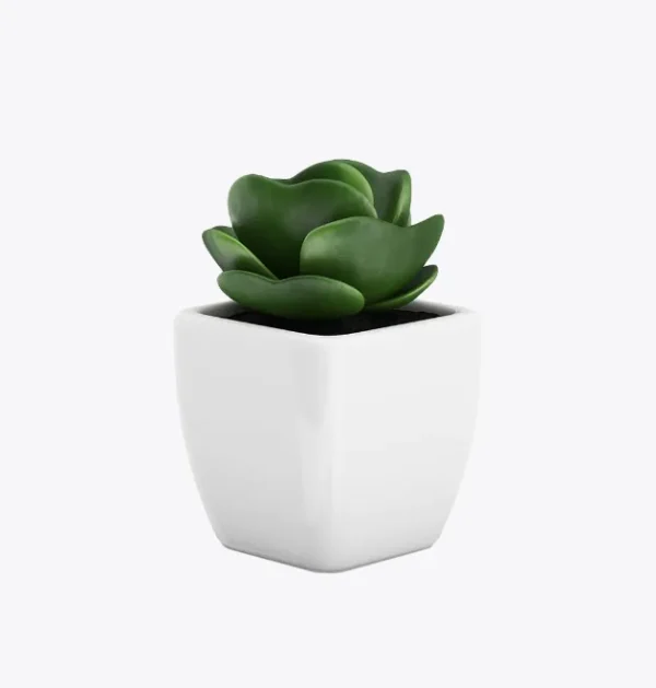 product-image-9_optimized Sollicitudin Aliquam